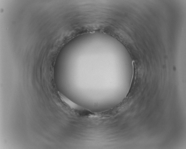 X0000070360961200607072059