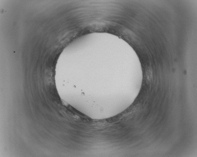 X0000070360964200607072059