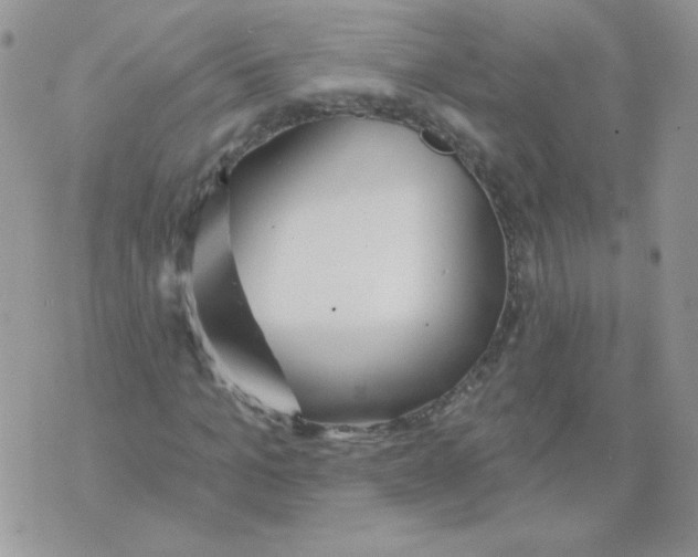 X0000070360965200607072059