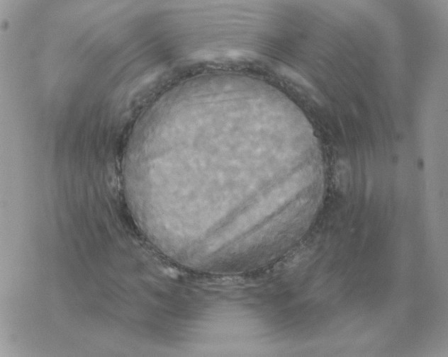 X0000070360966200607072059