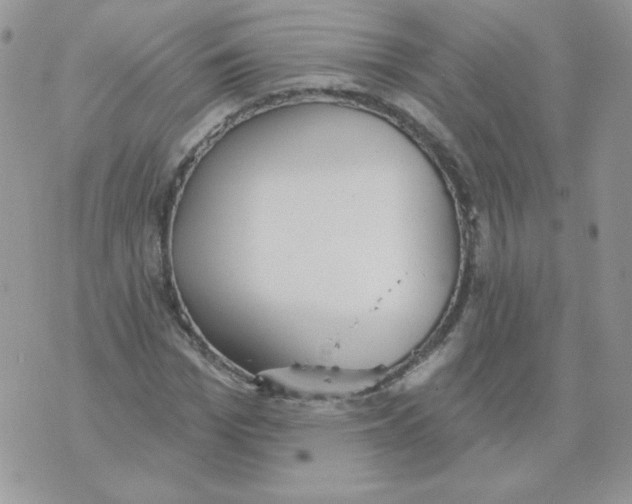 X0000070360969200607072059