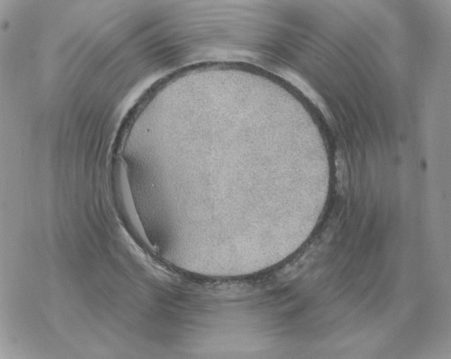 X0000070360972200607072059