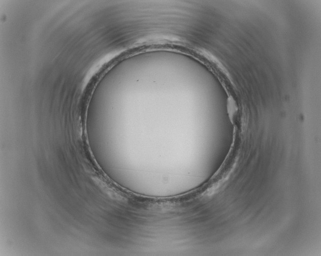 X0000070360973200607072059