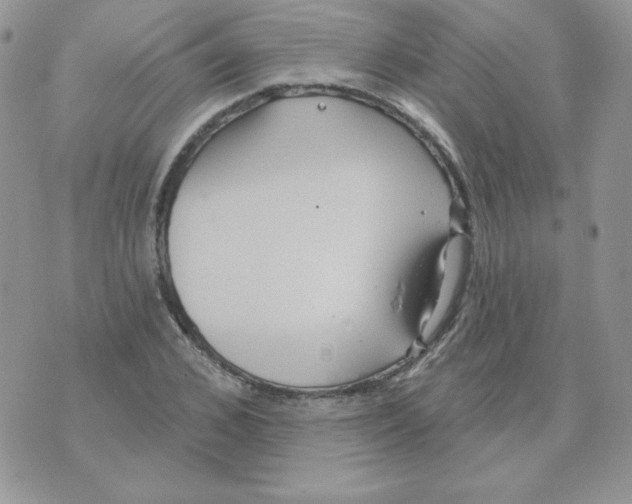 X0000070360976200607072059