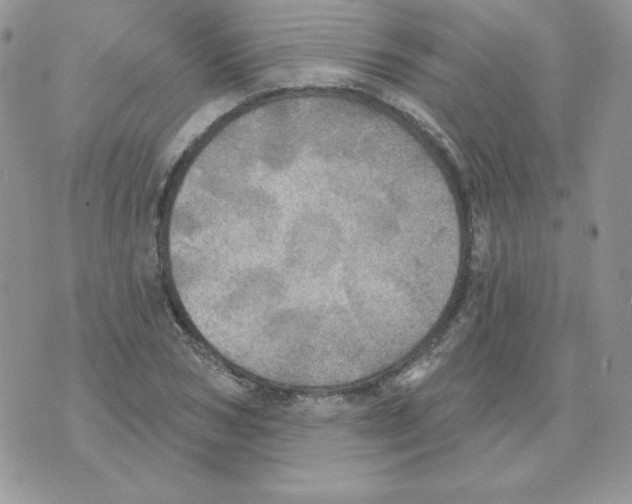 X0000070360978200607072059