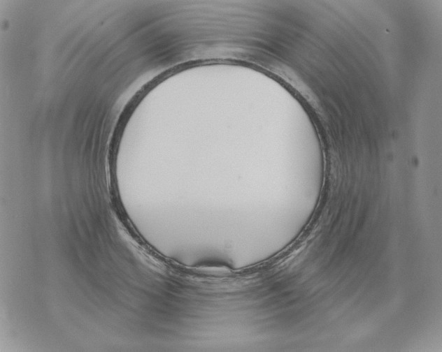 X0000070360980200607072059