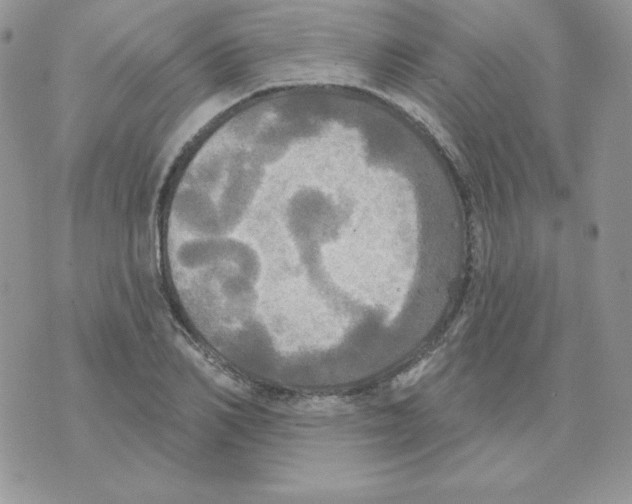 X0000070360982200607072059