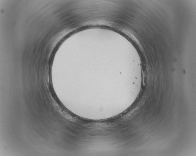 X0000070360984200607072059