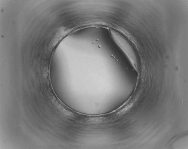 X0000070360985200607072059