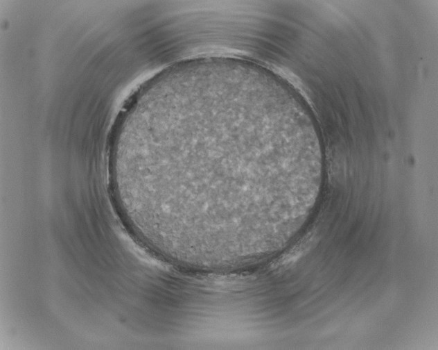 X0000070360987200607072059