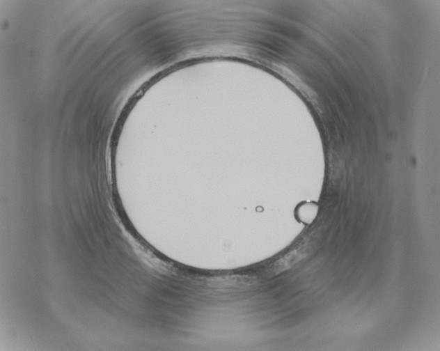 X0000070360988200607072059