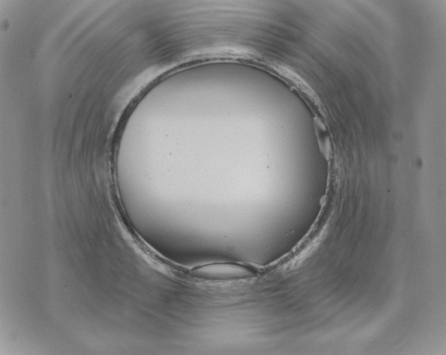 X0000070360989200607072059