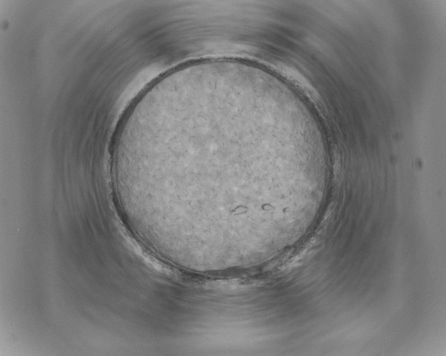 X0000070360990200607072059