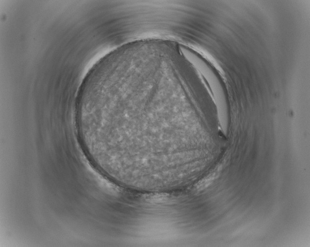 X0000070360991200607072059