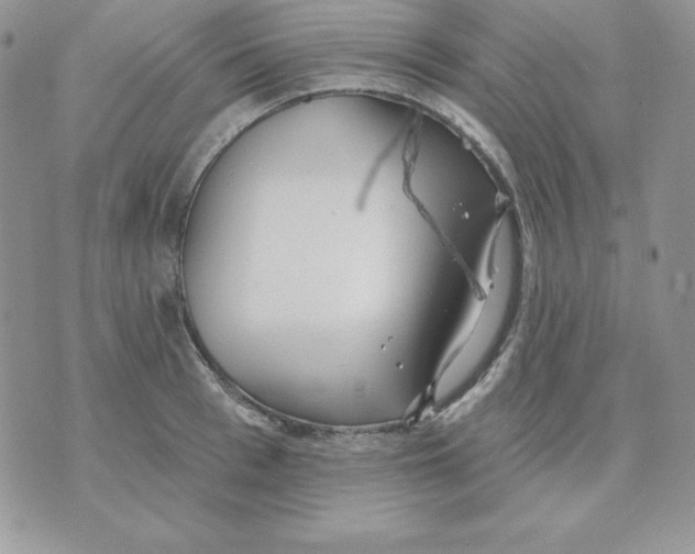 X0000070360993200607072059