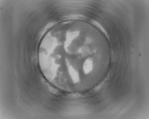 X0000070360994200607072058