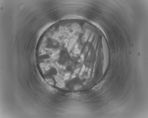 X0000070360995200607072058