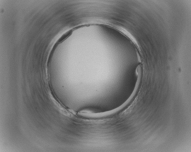 X0000070360996200607072058