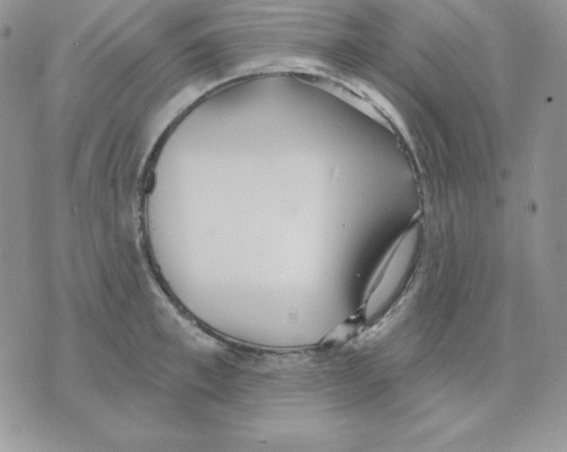 X0000070360997200607072058