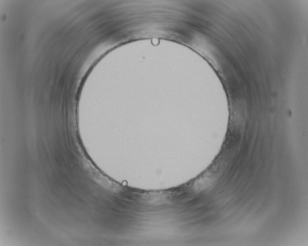 X0000070361000200607072058