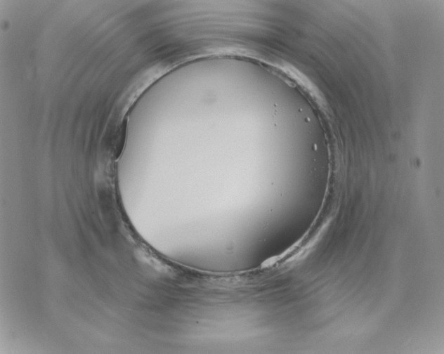 X0000070361001200607072058