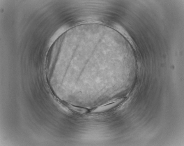 X0000070361002200607072058