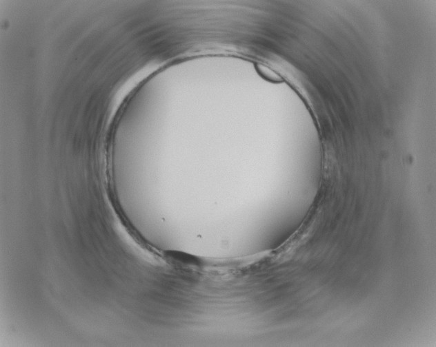 X0000070361003200607072058