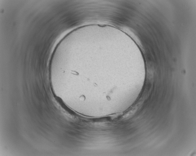 X0000070361004200607072058