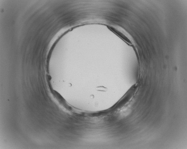 X0000070361005200607072058