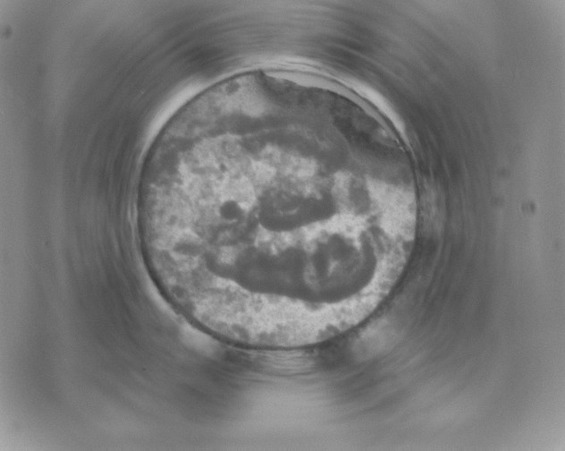 X0000070361007200607072058