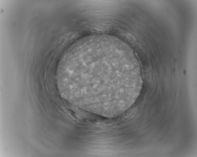 X0000070361009200607072057