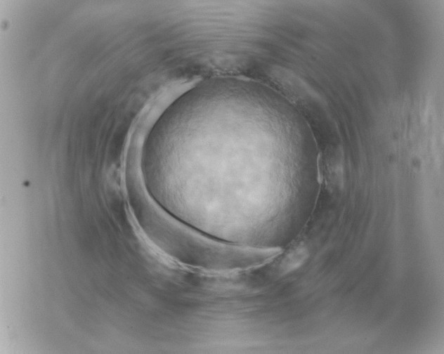 X0000070361010200607072058