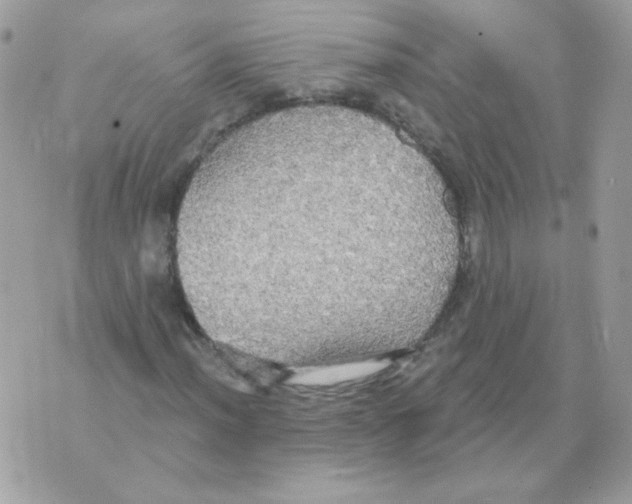 X0000070361012200607072058