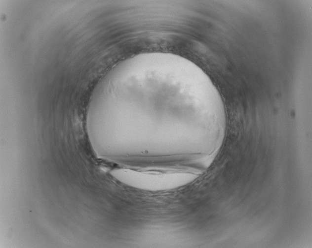 X0000070361013200607072058