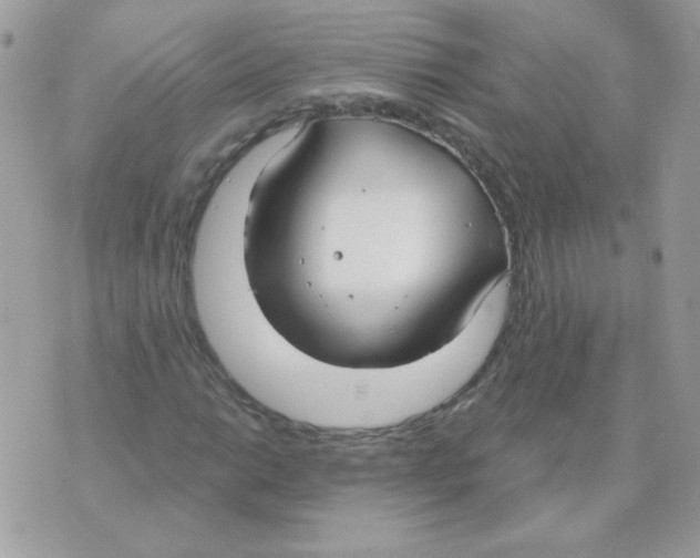 X0000070361014200607072058