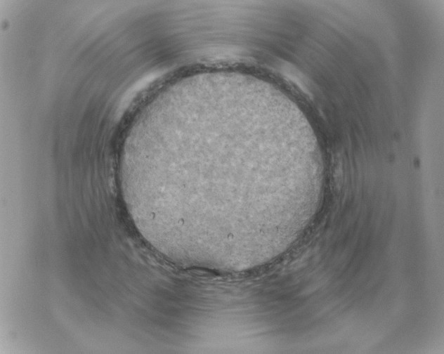 X0000070361016200607072058