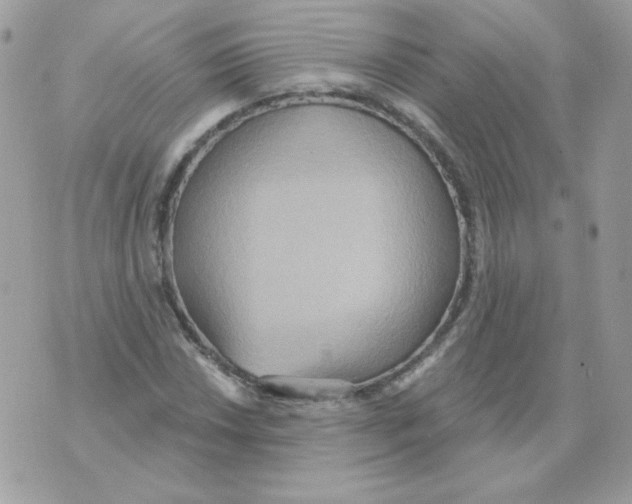 X0000070361018200607072058