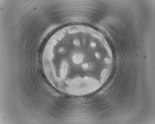 X0000070361019200607072058