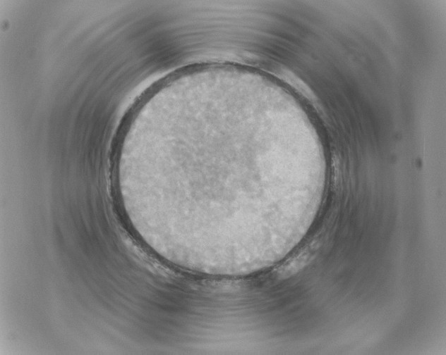 X0000070361020200607072058