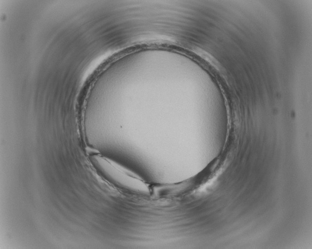 X0000070361022200607072058