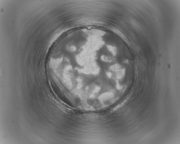 X0000070361023200607072058