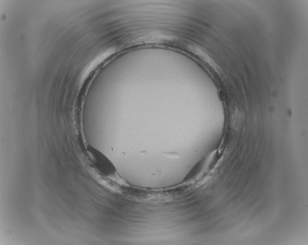 X0000070361026200607072058