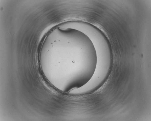 X0000070361030200607072058