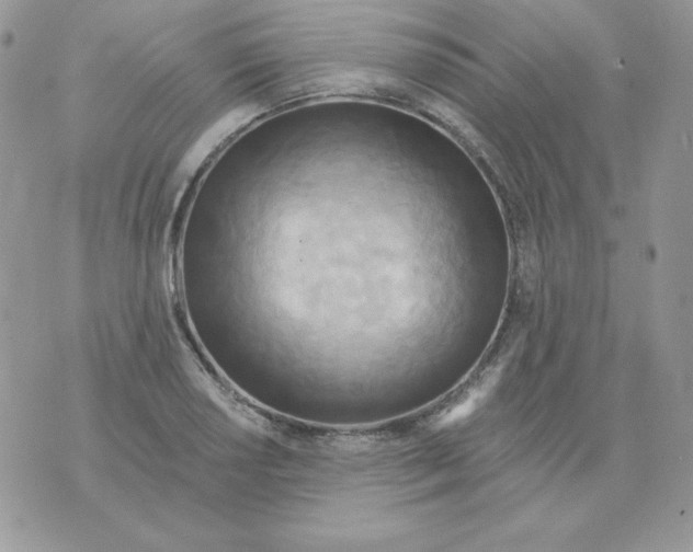 X0000070361034200607072058