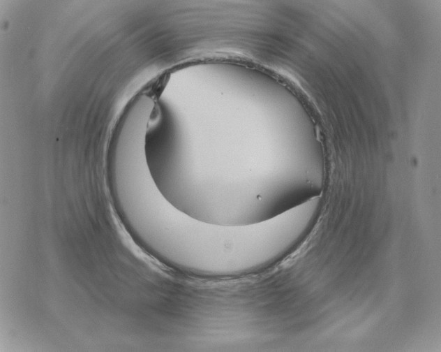 X0000070361038200607072058