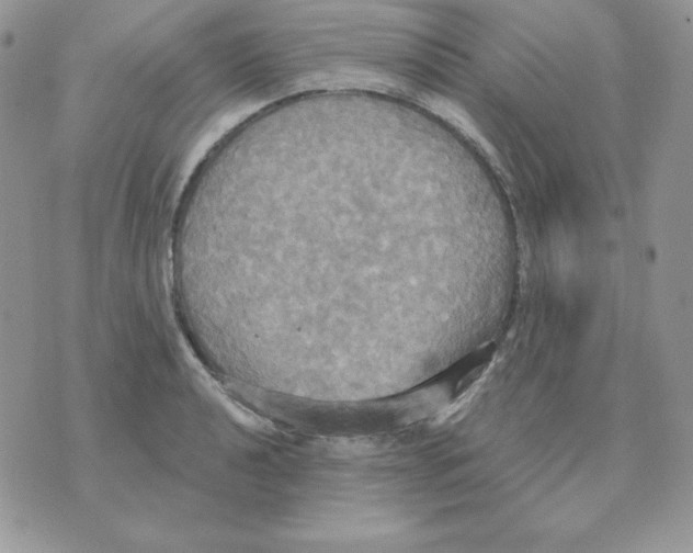 X0000070361040200607072058