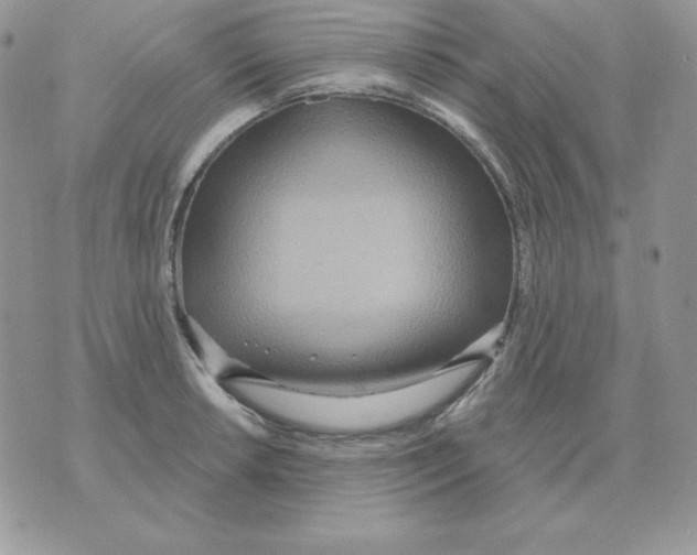 X0000070361042200607072058