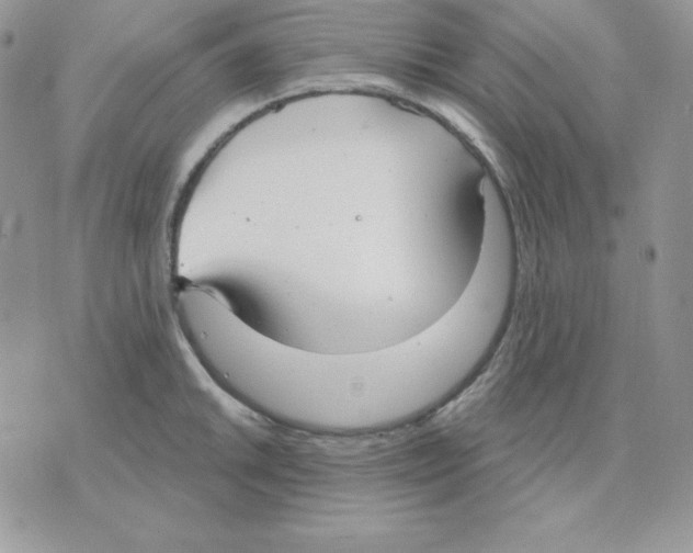 X0000070361046200607072058