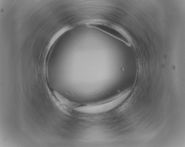 X0000070361050200607072058