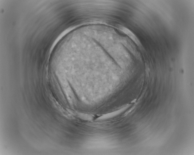 X0000070361052200607072058